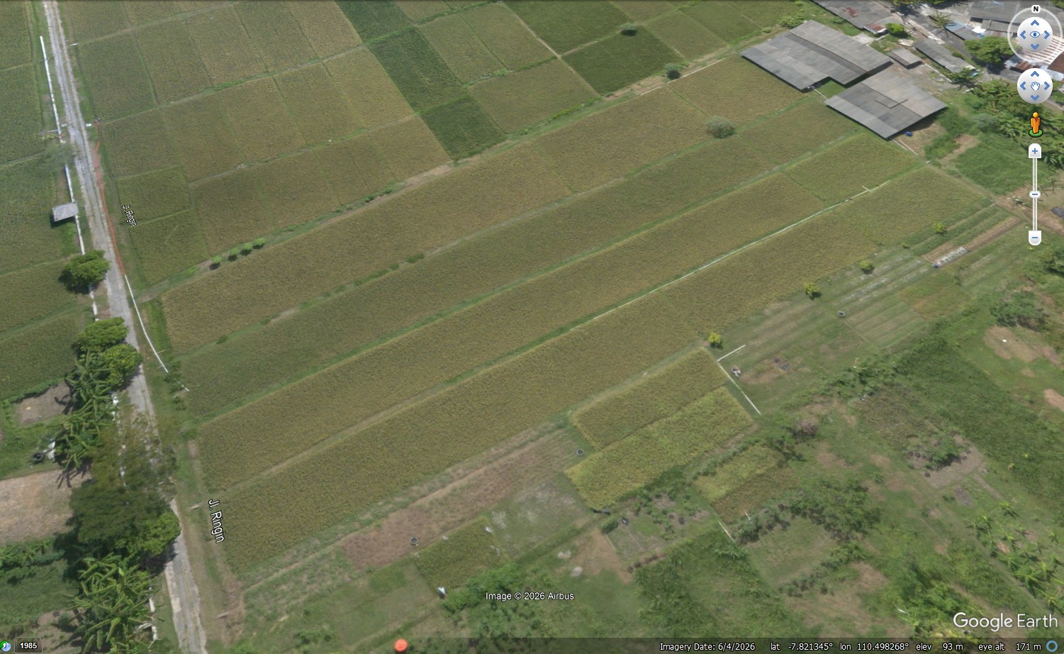 Tampilan lahan pada Google Earth; atribusi citra dipertahankan.